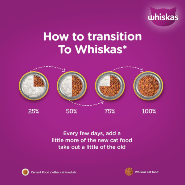 Whiskas Adult (1+ Years) Dry Cat Food, Chicken Flavour, 3 kg, Contains 41 Essential Nutrients, Complete & Balanced Nutrition for Adult Cats - Image 3