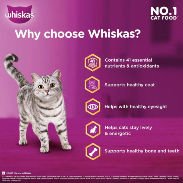 Whiskas Adult (1+ Years) Dry Cat Food, Chicken Flavour, 3 kg, Contains 41 Essential Nutrients, Complete & Balanced Nutrition for Adult Cats - Image 4